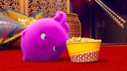 انیمیشن سانی بانیز قسمت 247 - sunny bunnies